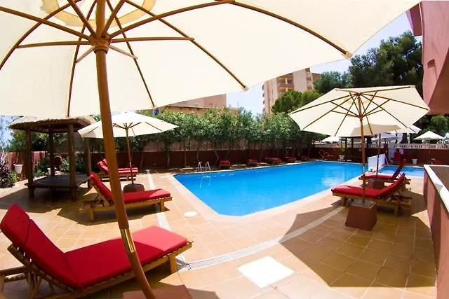 Apartment Apartamentos Regina Park Playa d'en Bossa